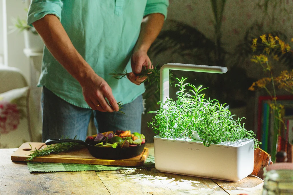 Rahasia Pencernaan Lancar dengan Sayuran Hijau